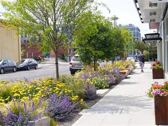 【道路建?！康缆肪G化帶設(shè)計(jì)